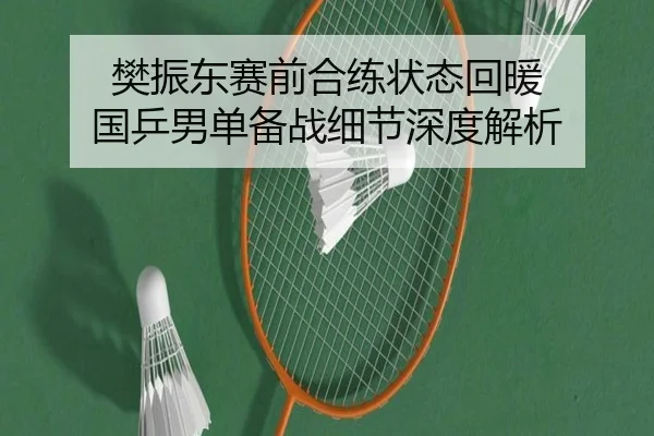 樊振东赛前合练状态回暖 国乒男单备战细节深度解析