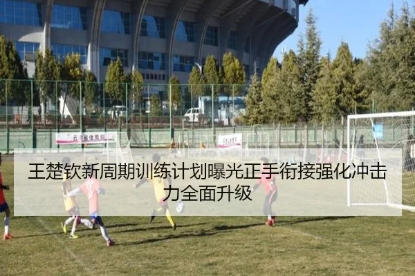 王楚钦新周期训练计划曝光正手衔接强化冲击力全面升级